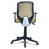Xxeana Low Back Ergonomic Chair in Pearl Green Colour
