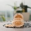 Ireka Home Coastal Jute Coaster Set with Holder – Set of 4