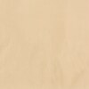 Ginger Set Of 2 Pillow Covers with Beige colour