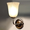 Devansh Metal Electric Wall Light in Steel Colour with White Shade Count of 1 Light