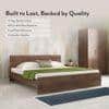 Zoey Engineered Wood King Size Bed In Classic Walnut Finish