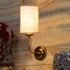 Devansh Metal Electric Wall Light in Gold Colour with White Shade Count of 1 Light