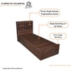 Maverick Engineered Wood Single Bed With Head Board Storage in Columbian Walnut Finish