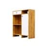 Hexa Red Multipurpose Storage Cabinet With 1 Drawer 1 Door in Giant Wood And Frosty White Colour