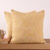 Vindhya Set Of 2 Cushion Covers With Yellow Colour