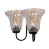 Devansh Metal Electric Wall Light in black Colour with Transparent Shade Count of 2 Lights