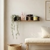 Jean Wooden Wall Shelf Organiser