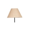 Daniesha Beige Natural Fiber Floor Lamp with Black Iron Base