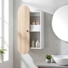 Gama Multipurpose Wall Mounted Storage Cabinet