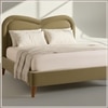 Elaris Curve Comfort Queen Size Bed in velvet With Engineer Wood Frame & Hydraulic Storage