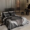 Stoa Paris Super King Size Enriched Cotton Bedsheet with 4 Pillow Covers  Size Night Safari