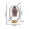 Devansh Multicolor Glass Wooden & Iron  Table Lamp -17 Inch Height  -Ajh
