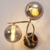 Eliante Modern Wall Lights Mild Steel & Glass Material Gold & Smoke Finish