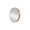 Modern Copper Stainless Mirror