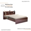 Esmeralda Queen Bed with Headboard and 4 Drawer Storage