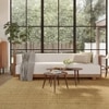 Douglas Solid Wood Three Seater Sofa in White Colour