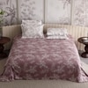 Stoa Paris Super King Size Cotton Bedsheet with 4 Pillow Covers  Size Ember Leaf Coral