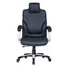 Adiko Puffy Director Chair With Headrest In Black