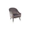 Matisse Accent Chair in Grey Colour