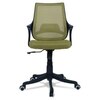 Ddeasirea Mid Back Ergonomic Chair in Pearl Green Colour