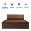 Lush Engineered Wood Queen  Size Bed With Box Storage (Walnut Finish)