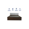 Citta Engineered Wood Queen Size Bed In Walnut Finish