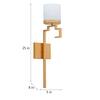 Corvina Single Light Metal and Glass Wall Light