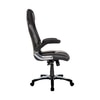 Adiko High Back Designer Gaming Chair In Black