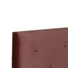 Nirodhah Engineered Wood Queen  Size Bed With Box Storage (Walnut Finish)