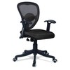Aaeroa Low Back Ergonomic Chair in Black Colour