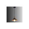 Nora Black Metal Single Hanging Light