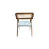 Aceso Solid Wood Lounge Chair In Blue Colour