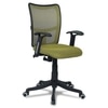 Eexcaeal Mid Back Ergonomic Chair in Pearl Green Colour