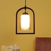 Eliante Hanging Light - Champaign Glass Shade, Mild Steel And Wood, 1 Bulb, Modern Pendant Lamp