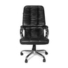 Adiko Modern Director Chair In Black