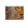 Truss Brown Pieces Barbary Lion Canvas Wall Prints Canvas Wall Prints Set of 3 Multicolor Matte