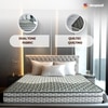 Sleepwell Ortho Pro Spring, Euro Top Finish, 3-zone pocket 6 inch Single Pocket Spring Mattress (L x W: 75 inch x 30 inch)
