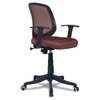Xxeana Low Back Ergonomic Chair in Brown Colour