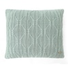 Holly Dull Blue Cushion Cover 16X16  Inches