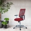 Wiwngas Mid Back Ergonomic Chair in Red Colour