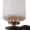 Eliante Wall Lights Mild Steel, Glass & Glass Material Brown,Gold & White Finish