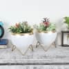 Apple Planter Set Of 2 In White And Gold Colour