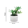 Artificial Succulent Indoor Plant With Ceramic Pot