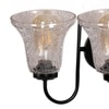 Devansh Metal Electric Wall Light in black Colour with Transparent Shade Count of 2 Lights