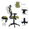 Zeeazyana High Back Ergonomic Chair in Pearl Green Colour