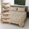 Off White & Light Coffee  Color Floral 400 TC Cotton Flat Super King Bed Size Bedsheet With 2 Pilllow Covers  Threads