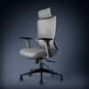 Imperia Ergonomic Study Chair in Grey Colour
