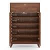 Webster 15 Pair Shoe Rack With Drawer in Sheesham Finish