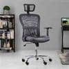 Venturi Study Chair in Ash Grey Colour