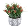 Pristine And Awe-Struck Indoor Red Faux Plant With Ceramic Pot